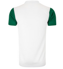 Camisa Palmeiras Torcedor - Lançamento 25/26