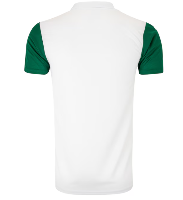 Camisa Palmeiras Torcedor - Lançamento 25/26
