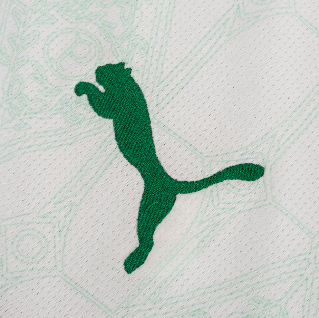 Camisa Palmeiras Torcedor - Lançamento 25/26