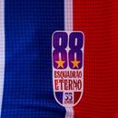 Camisa Retrô EC Bahia Comemoração Título brasileiro de 88