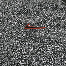 Camisa Pré Jogo 2024